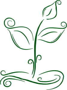 blumegrun-224×300-1